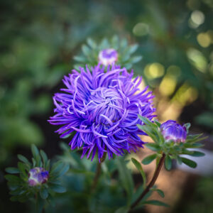 Product2